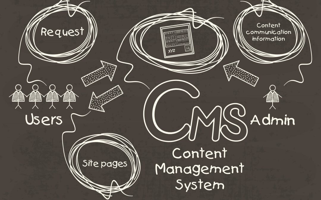 Brochure or CMS Website?