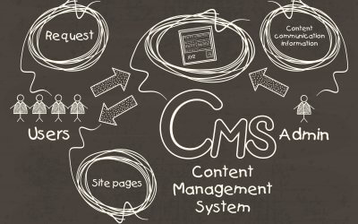 Brochure or CMS Website?