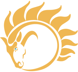 Custom WordPress Websites with Equine Online Design