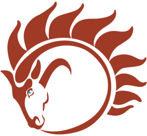 Custom WordPress Websites with Equine Online Design